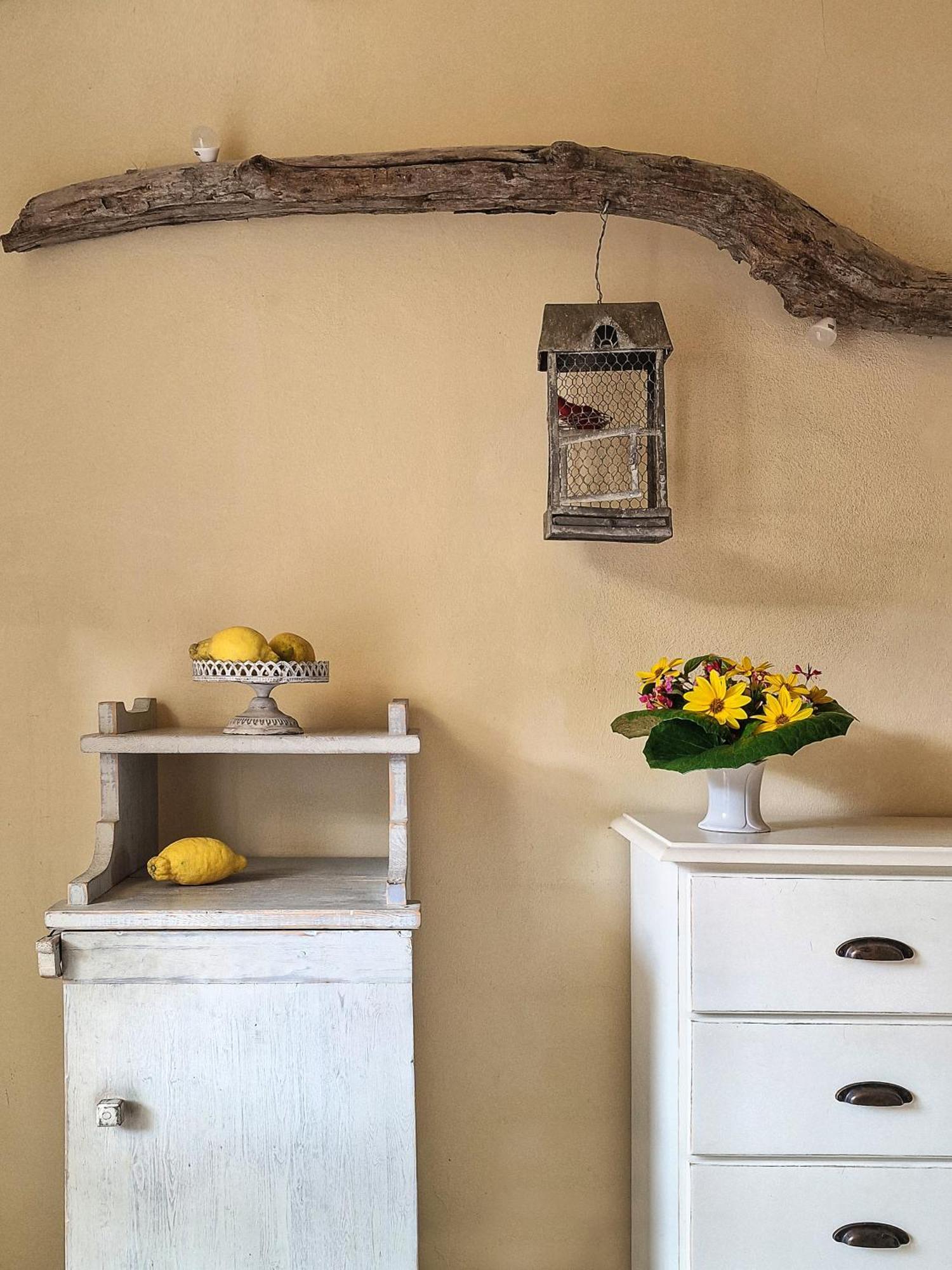 Hotel Cernia Isola Botanica SantʼAndrea Dış mekan fotoğraf