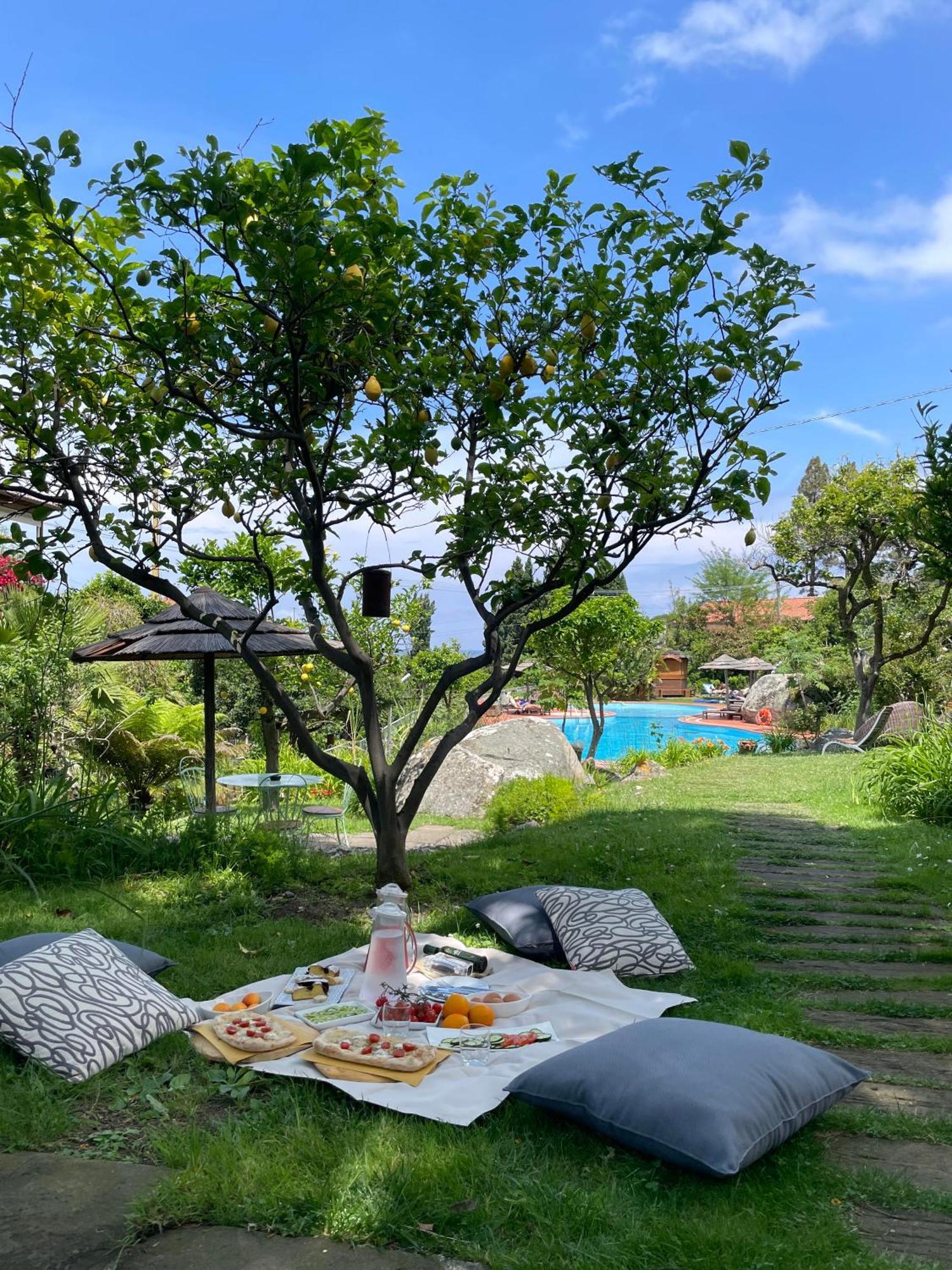 Hotel Cernia Isola Botanica SantʼAndrea Dış mekan fotoğraf